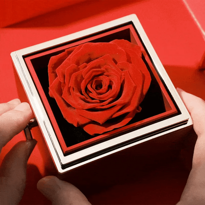 Caixa Rosa Eterna E Pulseira Casal De Projeção Fotográfica Bracelete Corda Preta Trançada Presente Para Amantes