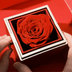 Caixa Rosa Eterna E Pulseira Casal De Projeção Fotográfica Bracelete Corda Preta Trançada Presente Para Amantes